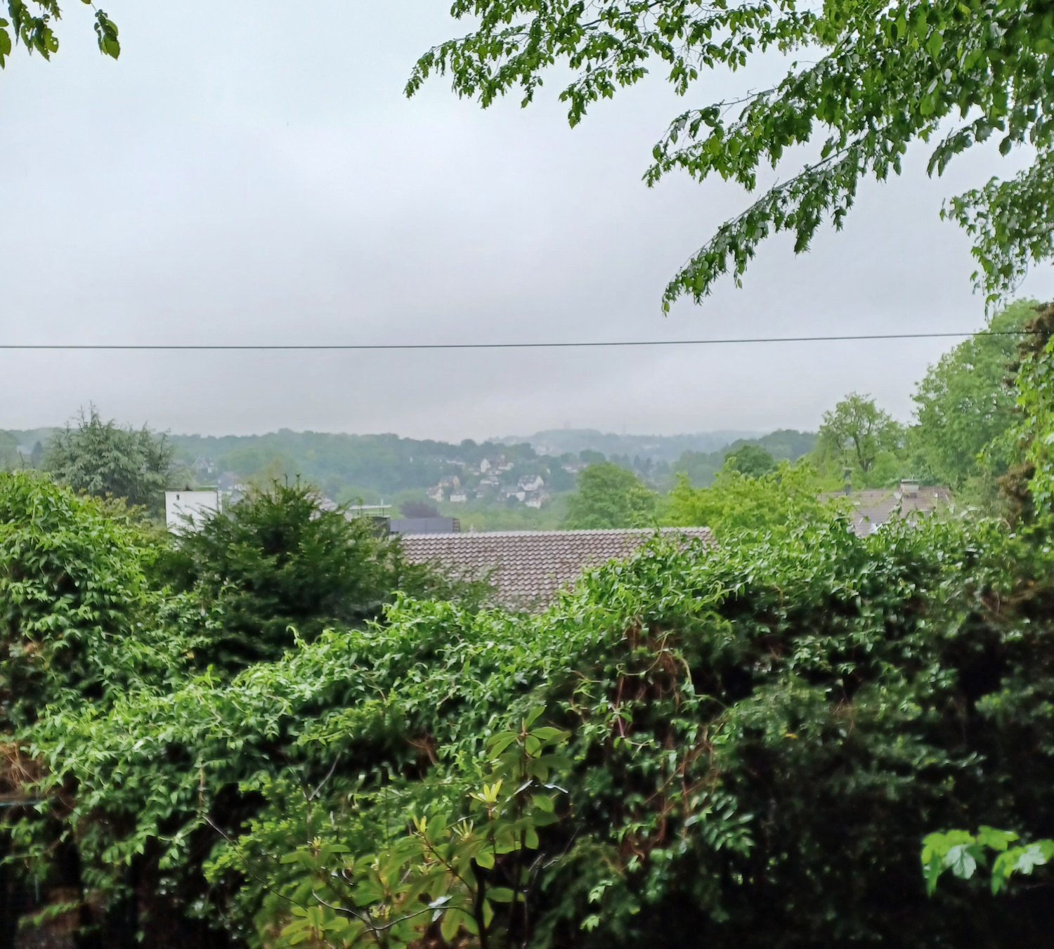 Grüne Hügel und graue Wolken