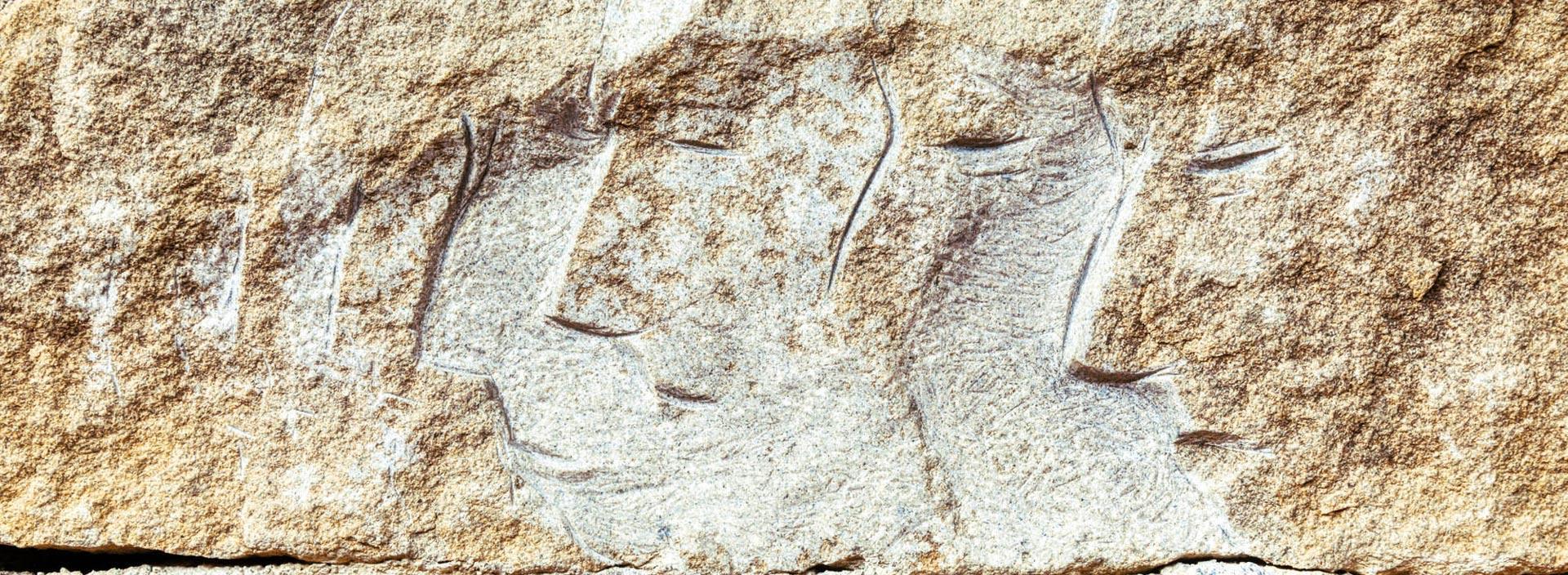 Erwachsene